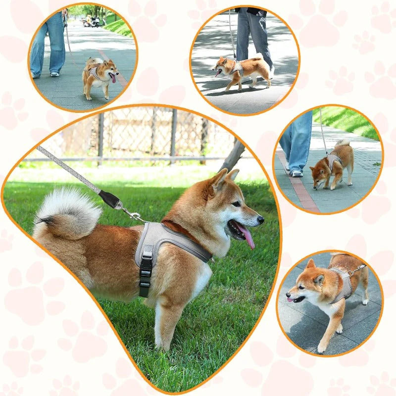 Reflective Dog Harness & Leash Set – Reflective, Comfy & Secure