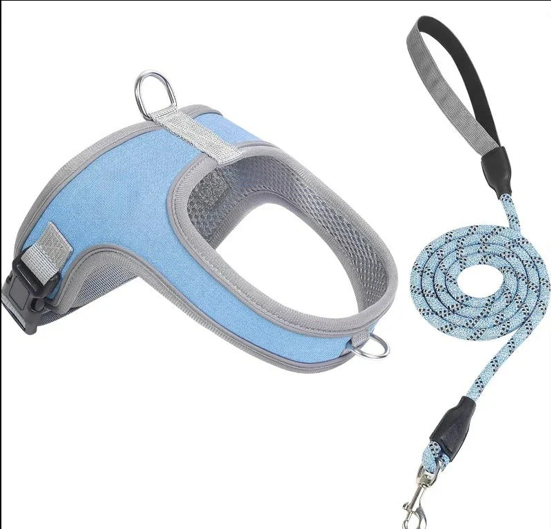 Reflective Dog Harness & Leash Set – Reflective, Comfy & Secure