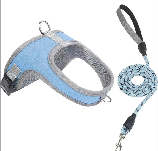 Reflective Dog Harness & Leash Set – Reflective, Comfy & Secure