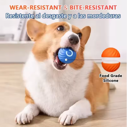 Smart Ball (small dogs)